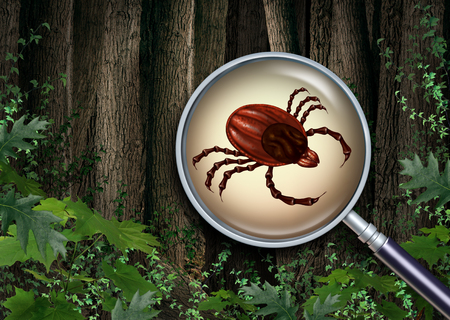 Where are Deer Ticks Found?