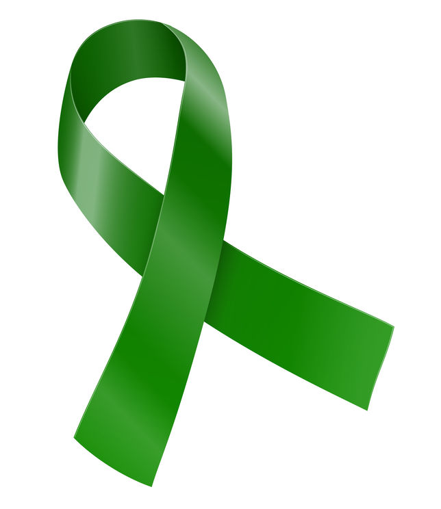 Lyme Disease Awareness