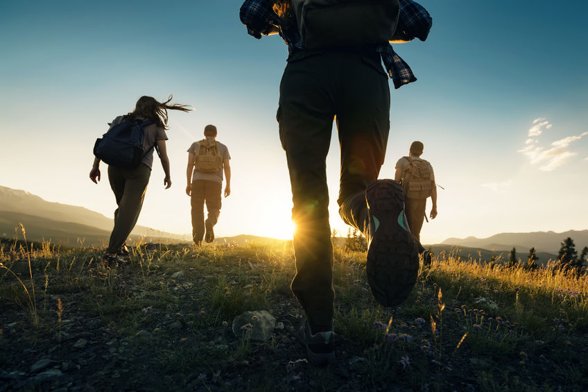 Hikers hiking in grass