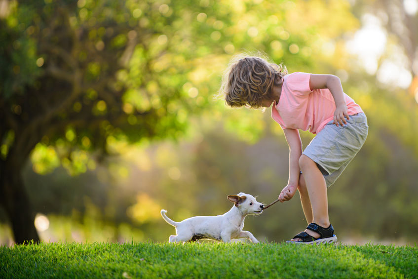A kid playing with a puppy in a yard