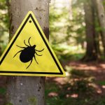 Infected ticks warning sign in a forest.