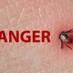 Tick burrowing into skin with "Danger" written