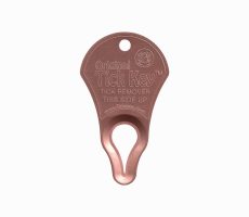 Copper Penny